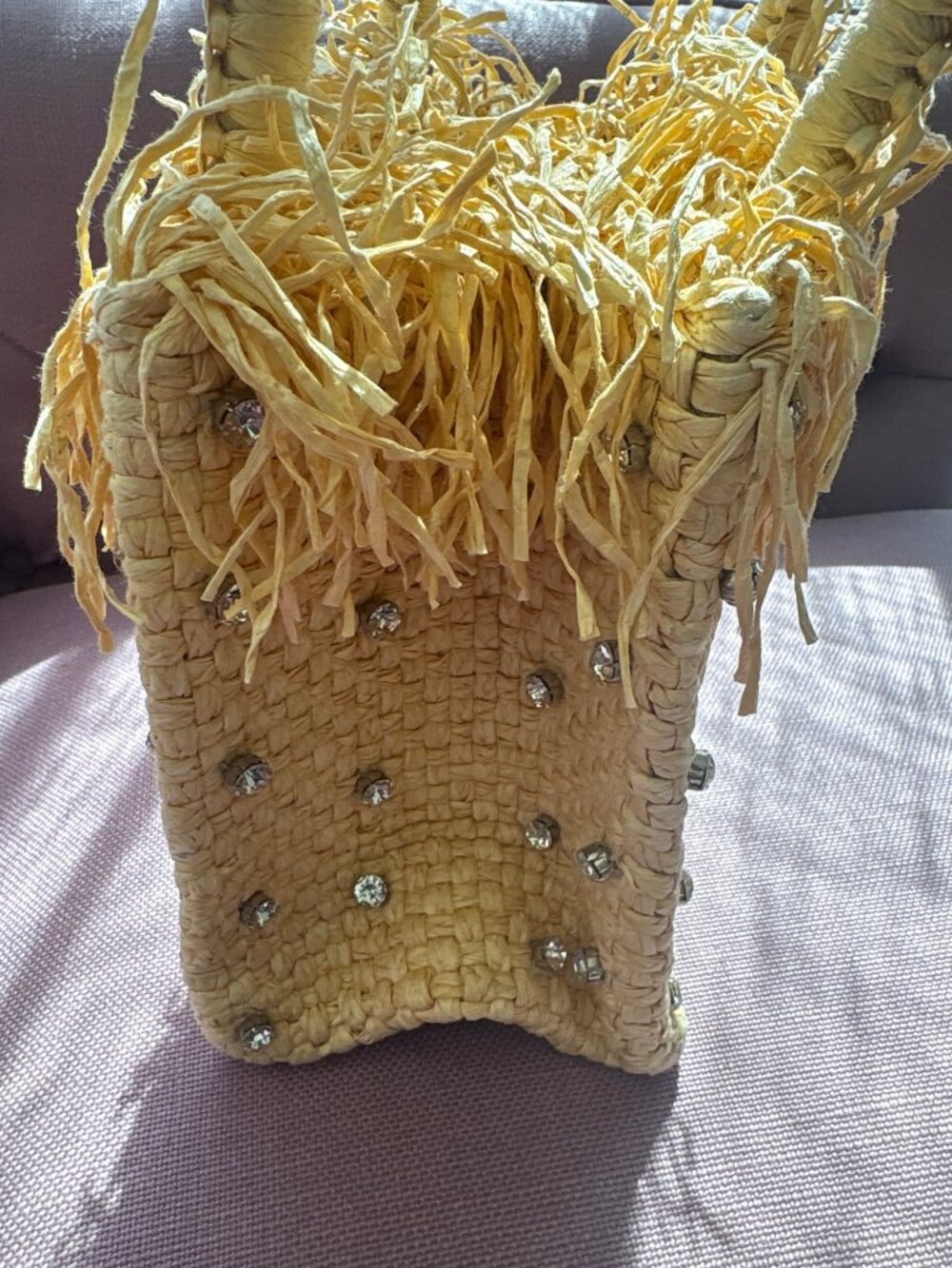 Pamela Munson check mate mini sparkle bag in Natural New Tote Purse - Picture 9 of 12